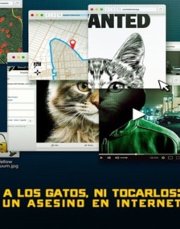 A los gatos ni tocarlos: Un asesino en Internet