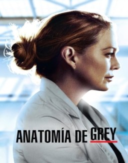 Anatomía de Grey stream