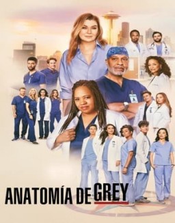 Anatomía de Grey