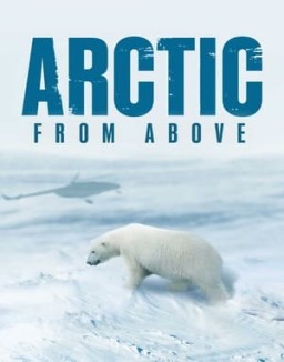 Arctic From Above online gratis