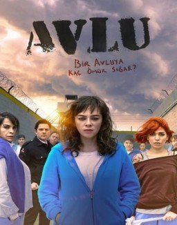 Avlu: El patio T1