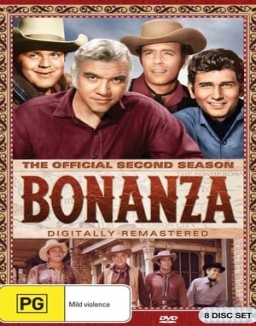 Bonanza T2