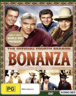 Bonanza T4