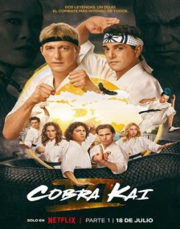 Cobra Kai stream