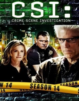 CSI: Las Vegas T14