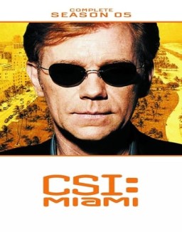 CSI: Miami stream