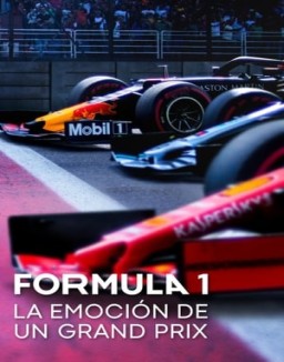 Fórmula 1: La emoción de un Grand Prix stream