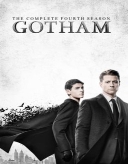 Gotham T4