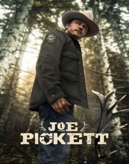 Joe Pickett stream