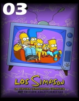 Los Simpson T3