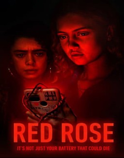 Red Rose stream