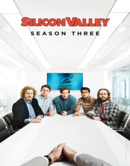 Silicon Valley T3